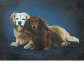 hunde.JPG