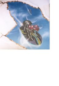 ant.JPG
